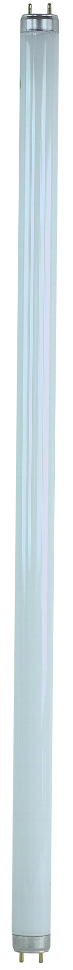 FULLFÄRGSLYSRÖR LUMILUX PLUS ECO T8, Ø 26 MM, LJUSFÄRG 830 - OSRAM