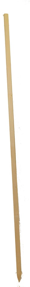 3135985.jpg