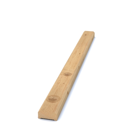 3138513.jpg