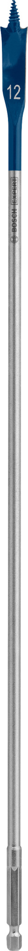 7914308.jpg