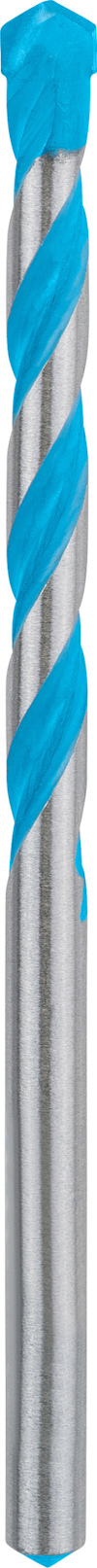 7915209.jpg