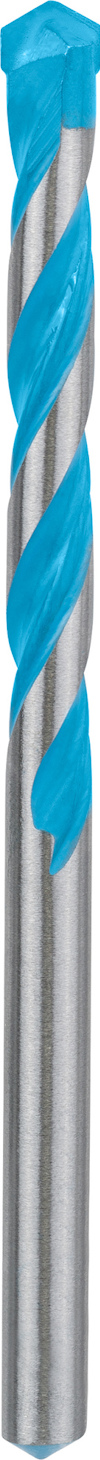 7915568.jpg