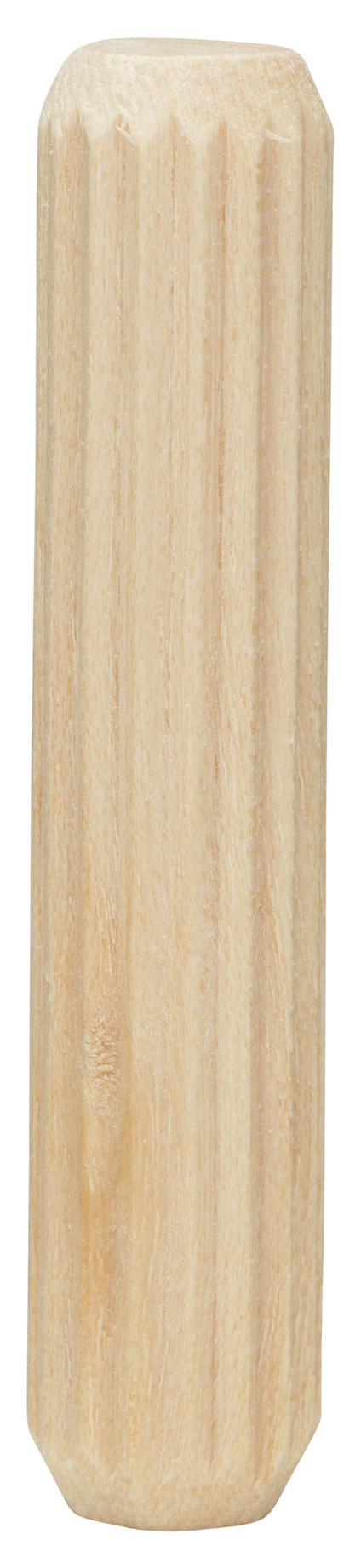 7918534.jpg