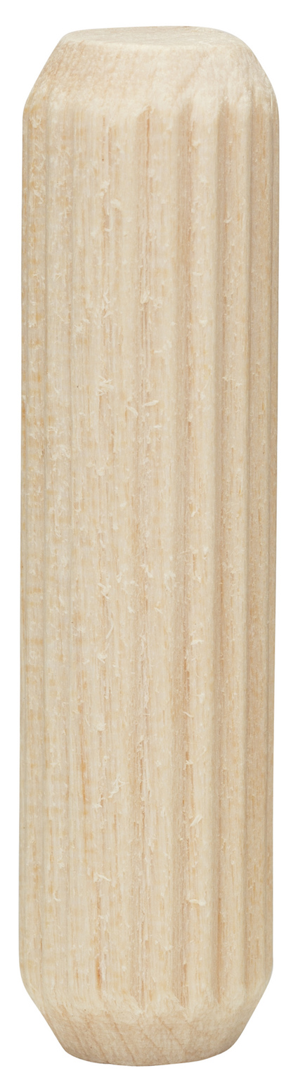 7918544.jpg