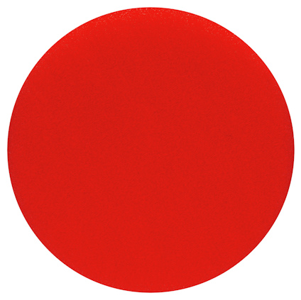 7925778.jpg