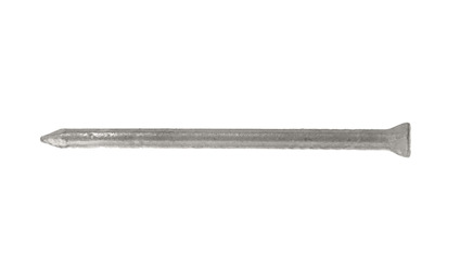 7934152.jpg