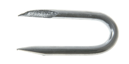 7934167.jpg