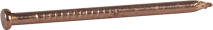 7944312.jpg