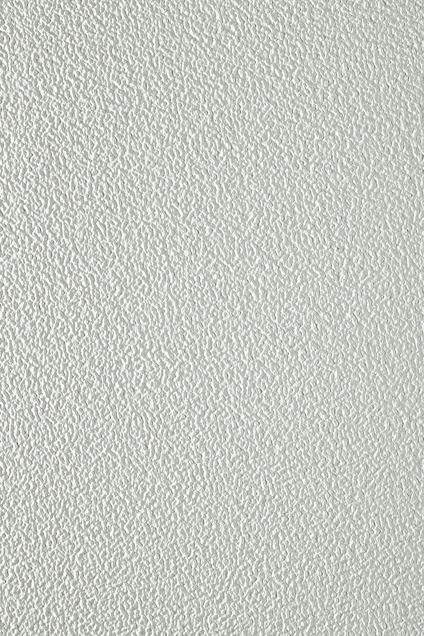 7965921.jpg