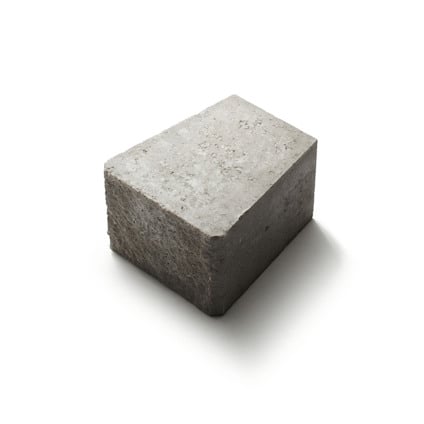 7982779.jpg