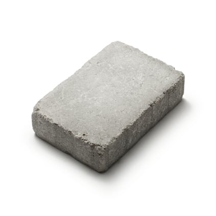 7982807.jpg