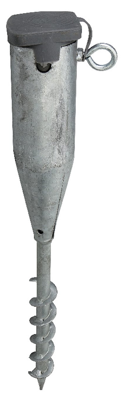 8006075.jpg
