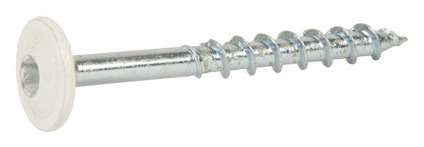 Vit träkonstruktionsskruv med bred brickhuvud och gängad del i metall. Platt toppyta i kontrast med den metalliska kroppen.