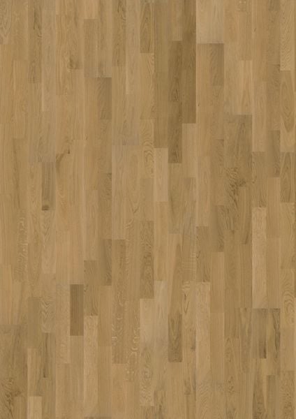 8023342.jpg