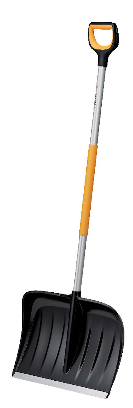 8045726.jpg