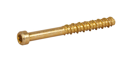 Guldfärgad skruv med platt huvud och torx-spår, delvis gängad med slät yta nära huvudet.