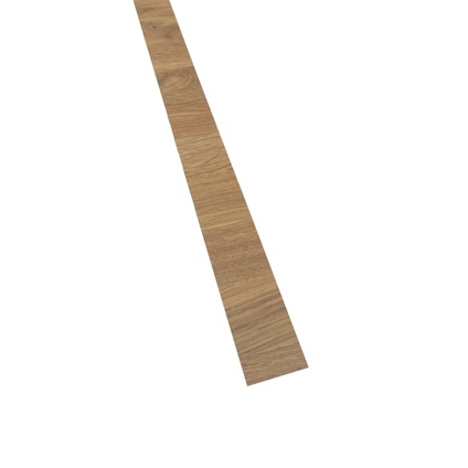8071255.jpg