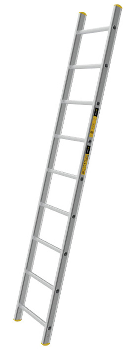 8080372.jpg
