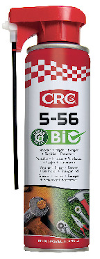 8085545.jpg