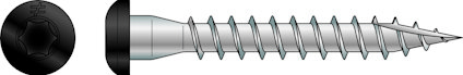 8097646.jpg
