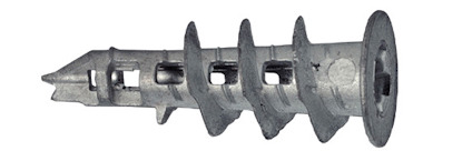 8099871.jpg