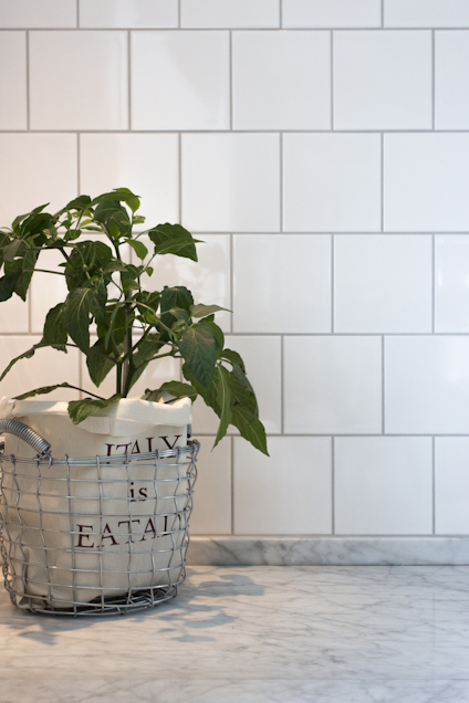 Grön växt i en korg med texten "ITALY IS EATALY" framför en vit kakelvägg.