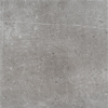 8161988.jpg