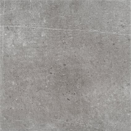8161988.jpg
