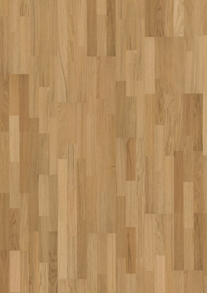 8163777.jpg