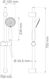 Diagram över duschset med handdusch, justerbar stång på 750 mm och mått på huvudet: Ø 100 mm, stång: Ø 24,5 mm.