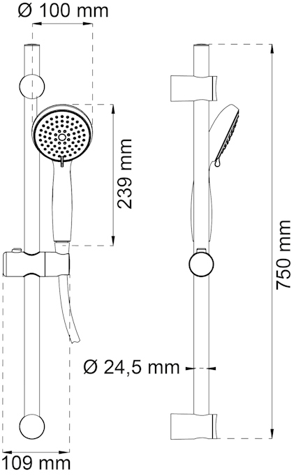 Diagram över duschset med handdusch, justerbar stång på 750 mm och mått på huvudet: Ø 100 mm, stång: Ø 24,5 mm.