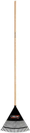 8195204.jpg