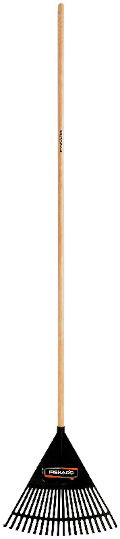 8195204.jpg