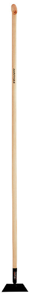 8195226.jpg