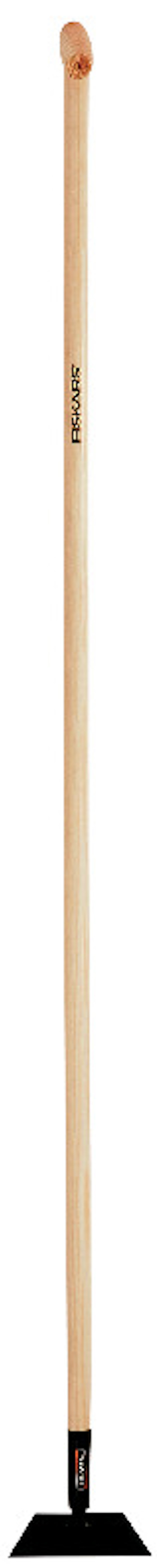 8195226.jpg