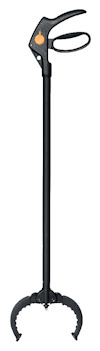 8201776.jpg