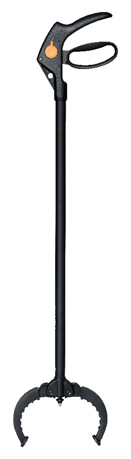 8201776.jpg