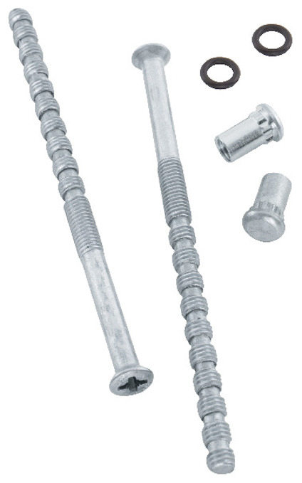 Två metallskruvar med gängad struktur, två hylsmuttrar och två små o-ringar på vit bakgrund.