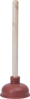 8216040.jpg