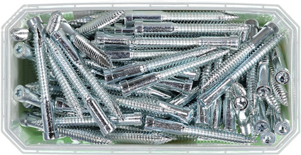 Flera silverfärgade skruvar i en rektangulär plastbehållare.