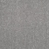 8257604.jpg