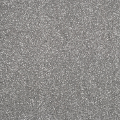 8257604.jpg