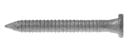 8263305.jpg