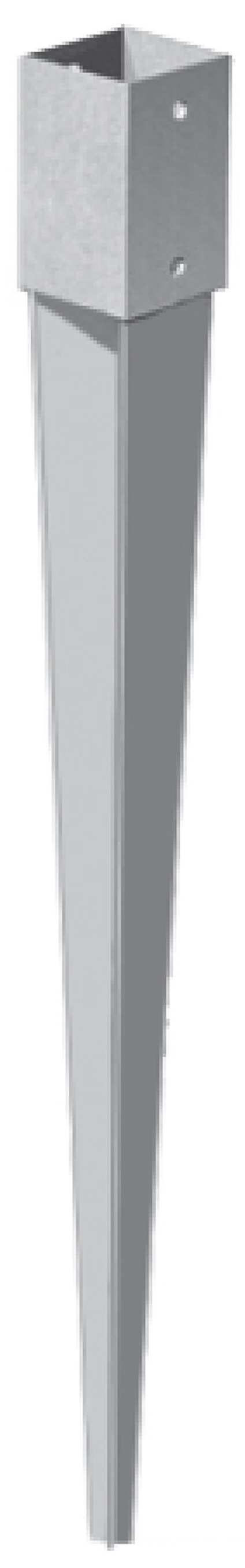8263320.jpg