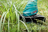 Grästrimmer med Bosch-logotyp klipper gräs.