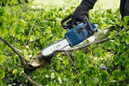 Person sågar en gren med en motorsåg i ett grönt buskage.