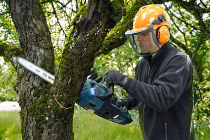 Person använder motorsåg på trädgren i skog. Bär skyddshjälm med visir och hörselskydd.