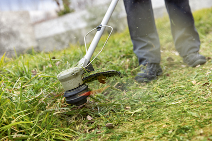 Grästrimmer i användning klipper gräs på en gräsmatta. Benen av en person syns i bakgrunden.